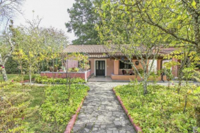 Antica in Jakačići - Haus für 2-3 Personen